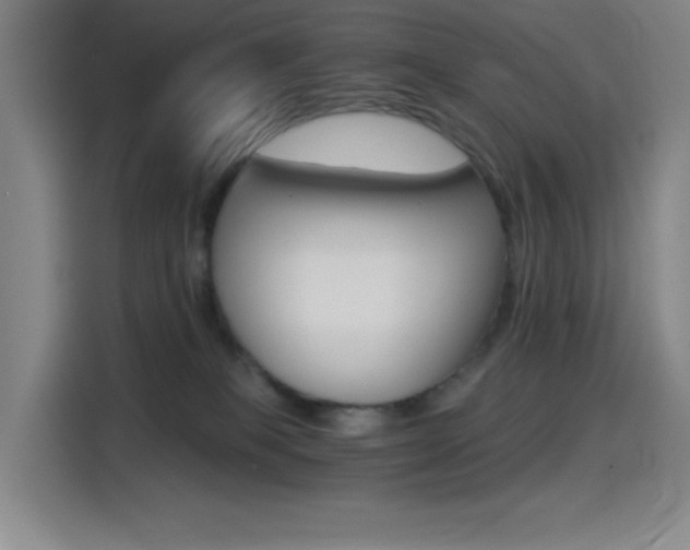 X0000114430085200910161344