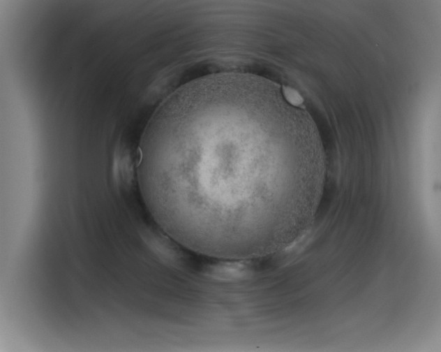 X0000114430086200910161344