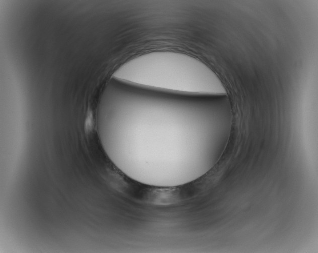 X0000114430089200910161344
