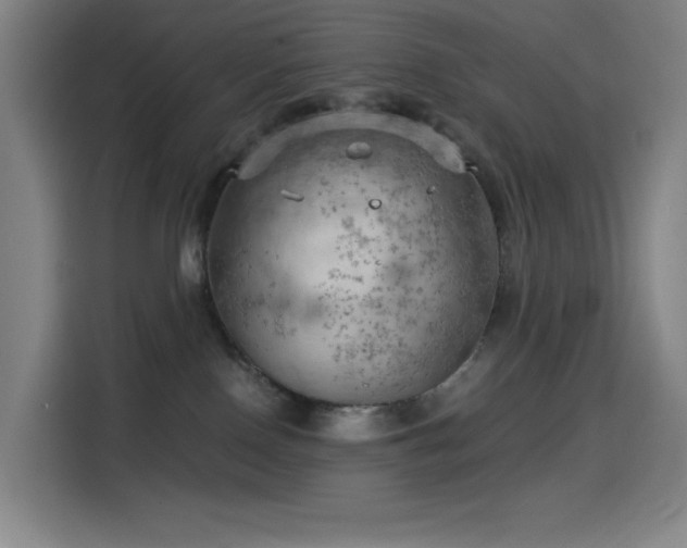 X0000114430090200910161344
