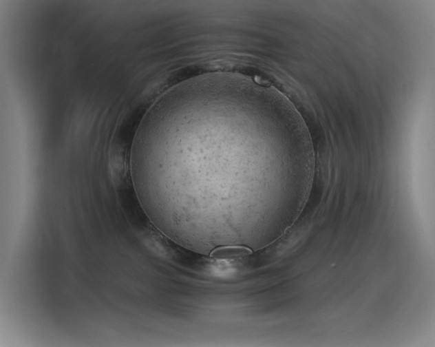X0000114430091200910161344