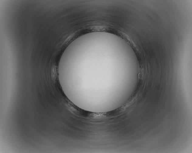 X0000114430093200910161344