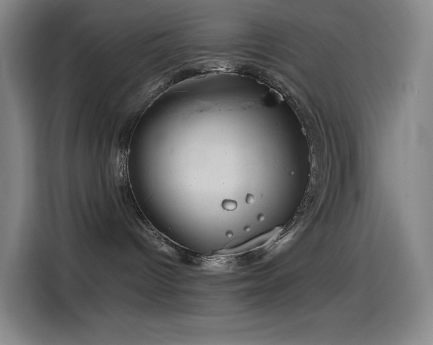 X0000114430096200910161344