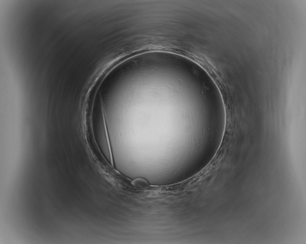 X0000114430098200910161343