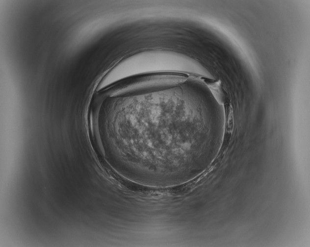 X0000114430099200910161343