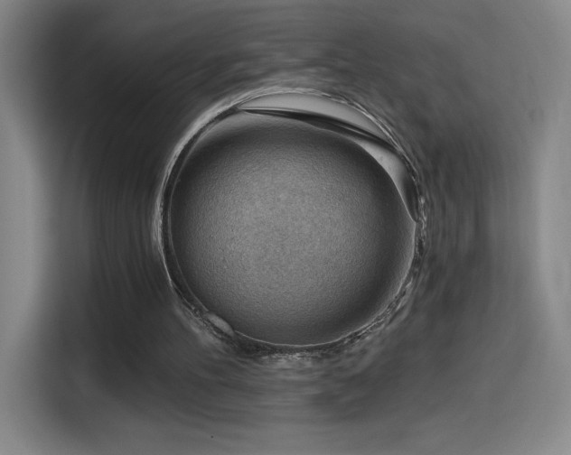 X0000114430100200910161343