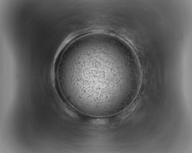 X0000114430102200910161343