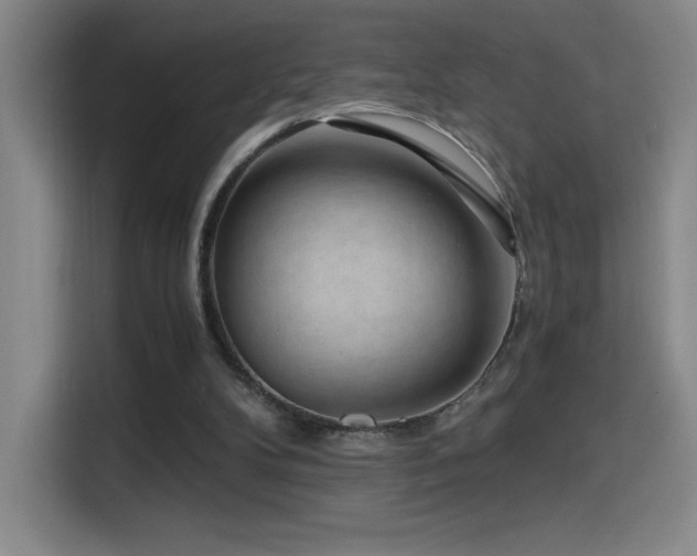 X0000114430104200910161343