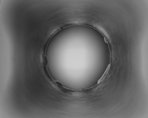 X0000114430105200910161343