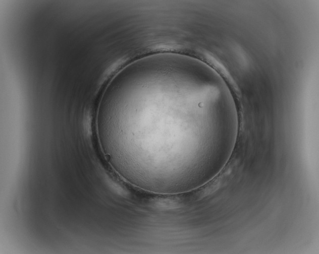 X0000114430106200910161343