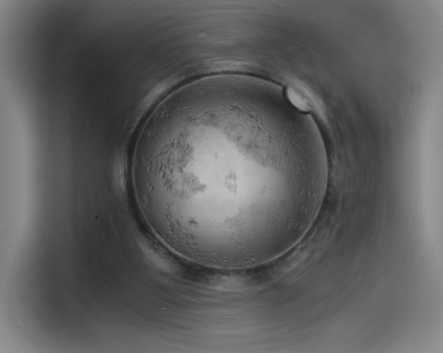 X0000114430107200910161343