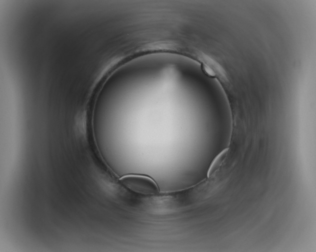 X0000114430108200910161343