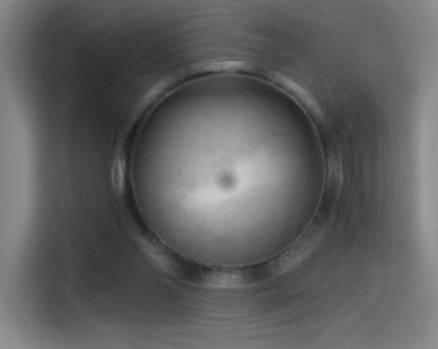 X0000114430110200910161343