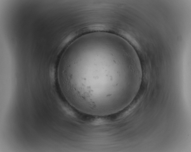 X0000114430111200910161343
