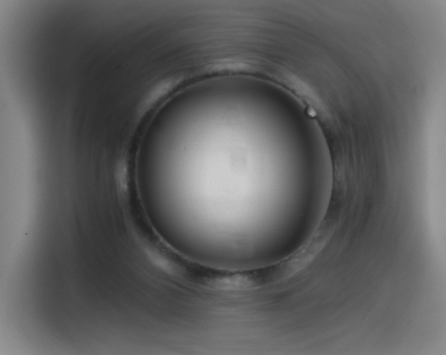 X0000114430112200910161343