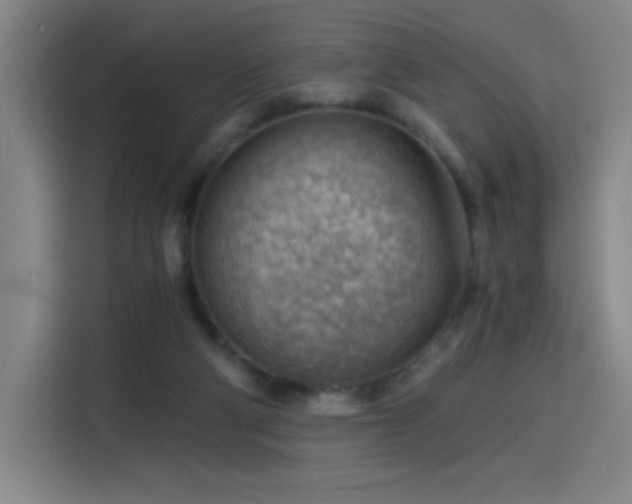 X0000114430114200910161343