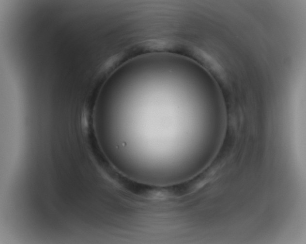 X0000114430115200910161343