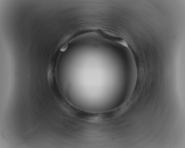 X0000114430116200910161343