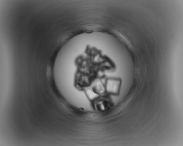 X0000114430117200910161343
