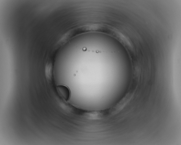 X0000114430118200910161343
