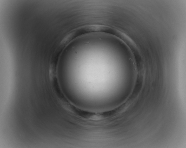 X0000114430119200910161343