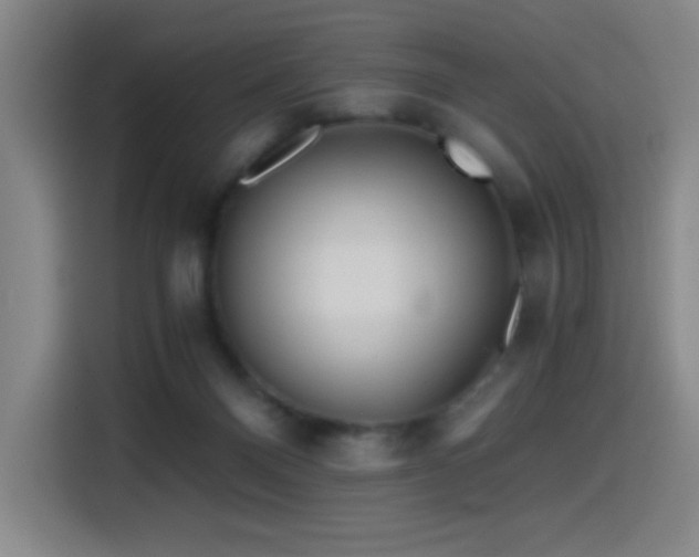 X0000114430120200910161343