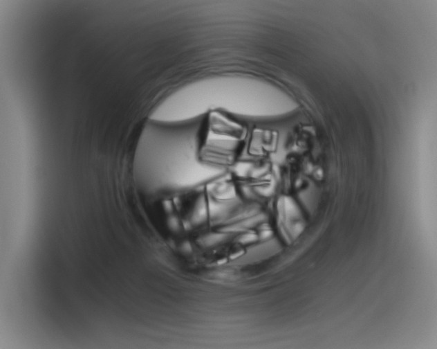 X0000114430121200910161343