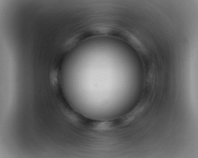 X0000114430122200910161343