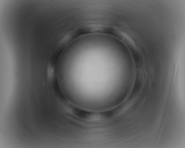 X0000114430123200910161343