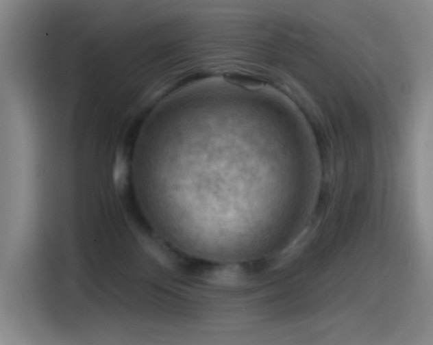 X0000114430124200910161343