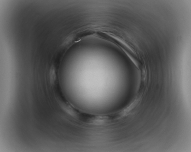 X0000114430128200910161343