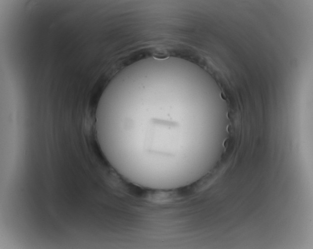 X0000114430129200910161343