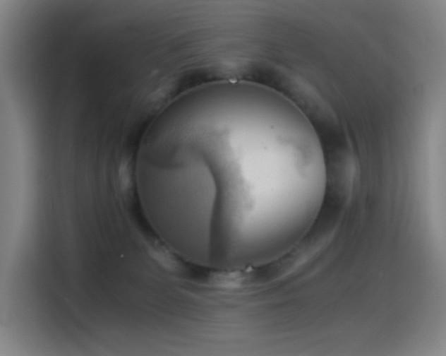 X0000114430131200910161343