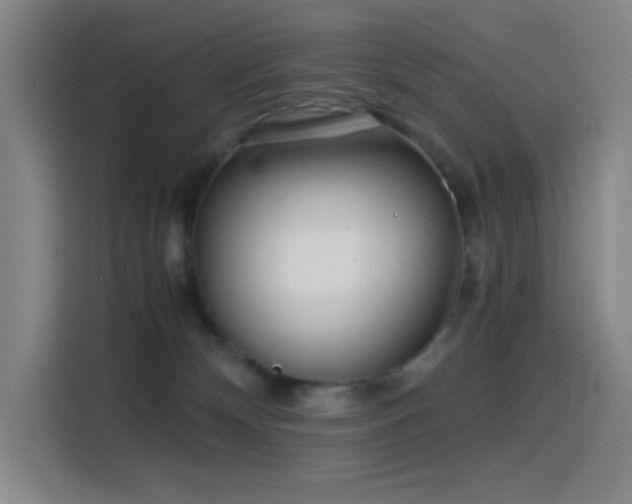 X0000114430132200910161343