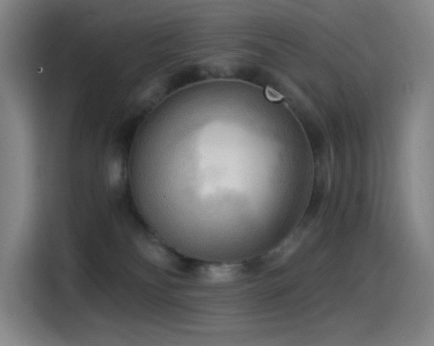 X0000114430134200910161343