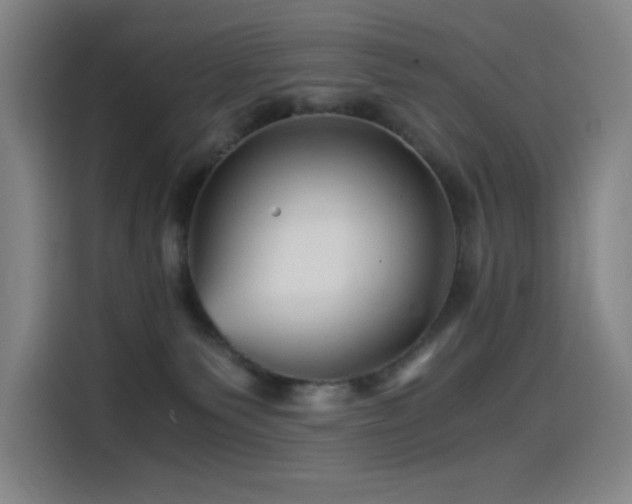 X0000114430135200910161343