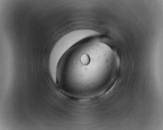 X0000114430136200910161343
