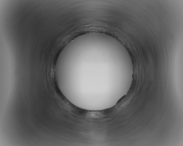 X0000114430137200910161343