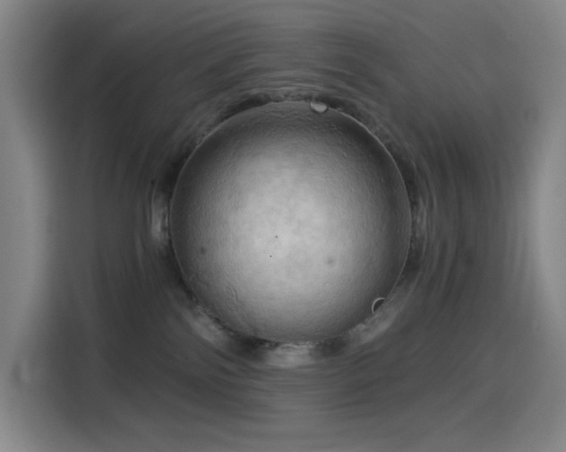 X0000114430138200910161343