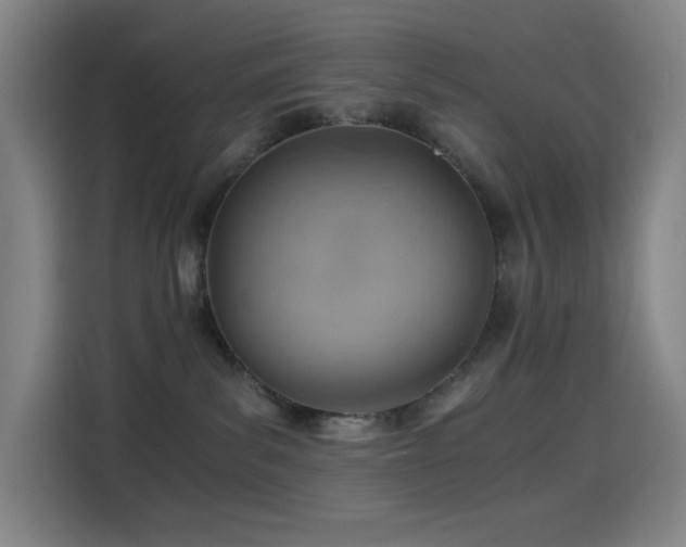 X0000114430139200910161343