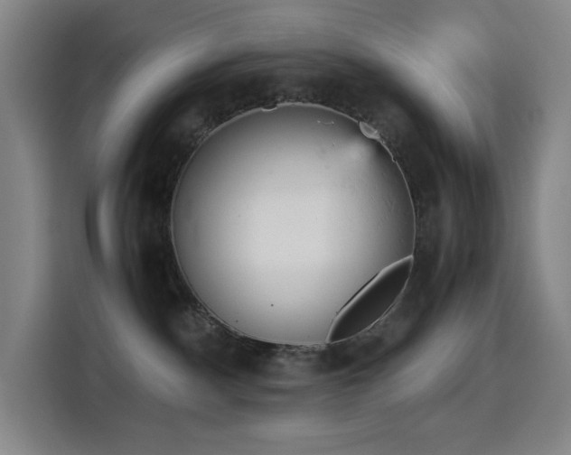X0000114430140200910161343