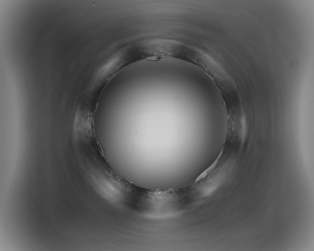 X0000114430141200910161342
