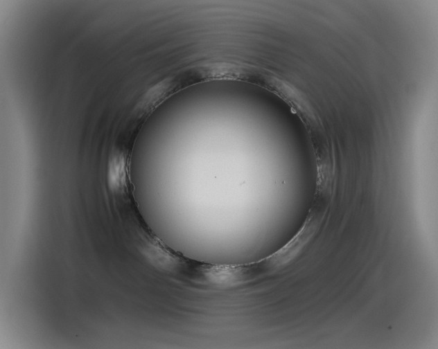 X0000114430142200910161342