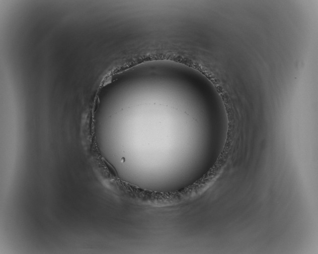X0000114430144200910161342