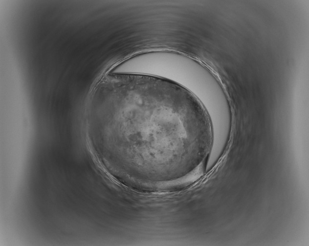 X0000114430145200910161342