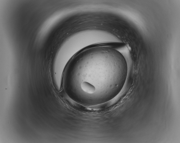 X0000114430146200910161342