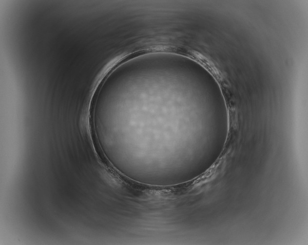 X0000114430147200910161342