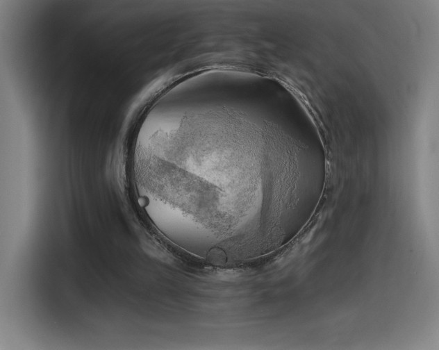 X0000114430149200910161342