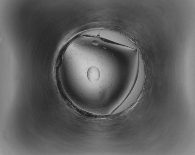 X0000114430150200910161342