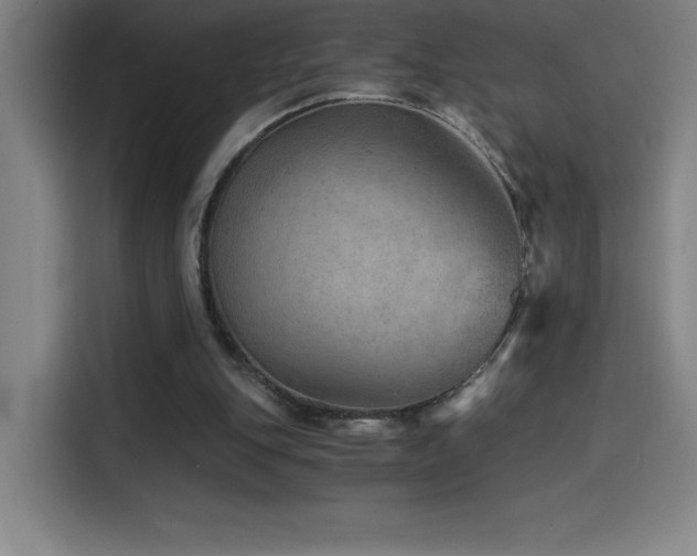 X0000114430151200910161342